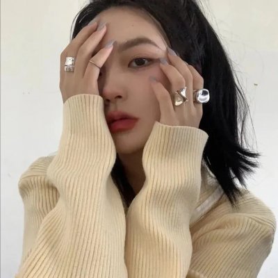 翼龙